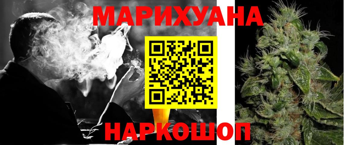 Каннабис OG Kush Дубна